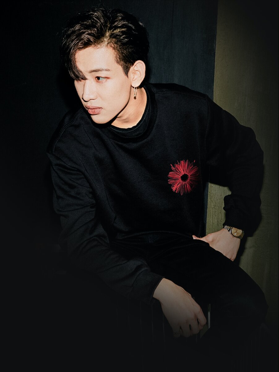 BamBam sweatshirt